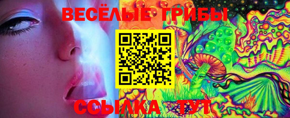 Псилоцибиновые грибы Psilocybe Рославль