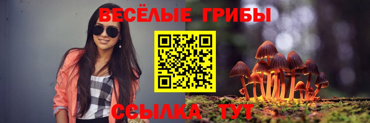 Рославль  наркота  Вход с VPN  Псилоцибиновые грибы мухоморы 